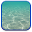 Summer Live Wallpaper Download on Windows