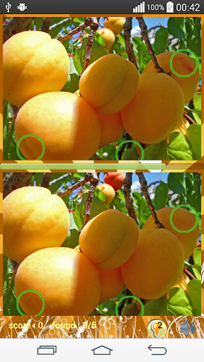 Photo hunt fruits game