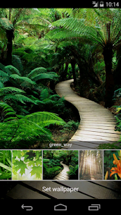 Lastest Wap wallpapers APK for Android