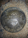First Summit Survey Mark