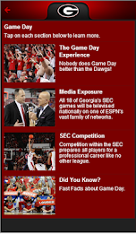 Georgian basketball cricket app poster 3