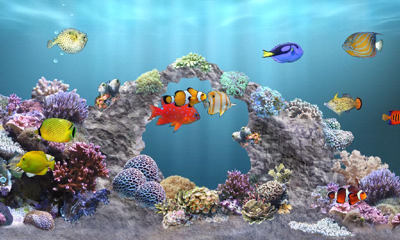 aniPet Marine Aquarium HD Android Apps on Google Play aniPet Marine Aquarium HD Android Apps on Google Play