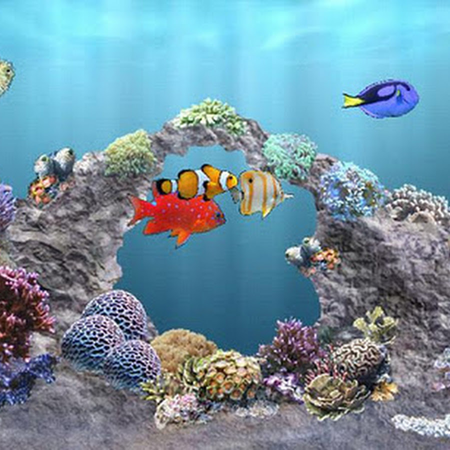 aniPet Marine Aquarium HD Android Apps on Google Play
