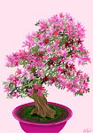 Pink!