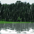 Rain Live Wallpaper2.0