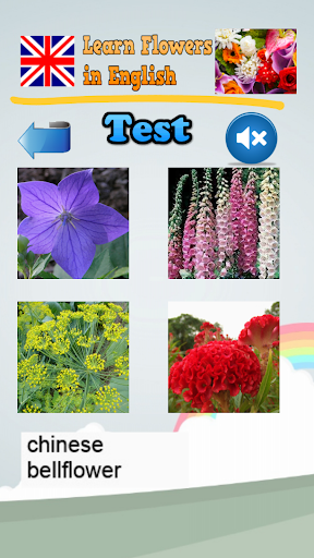 免費下載教育APP|영어로 꽃 의 이름을 알아보십시오 app開箱文|APP開箱王