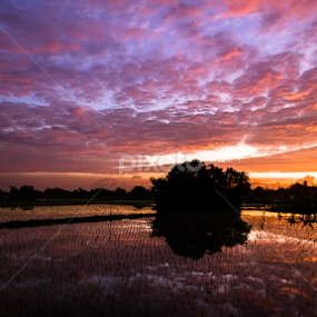 Sunrise by Anders Riise - Landscapes Prairies, Meadows & Fields