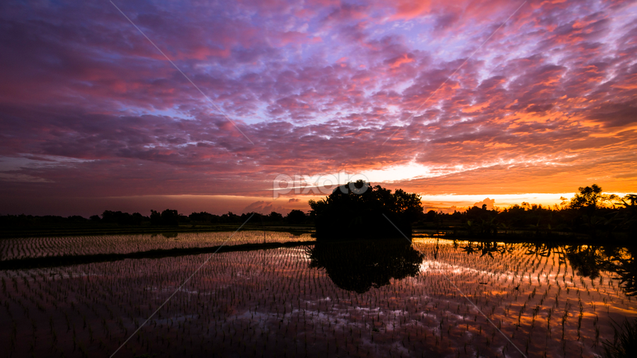 Sunrise by Anders Riise - Landscapes Prairies, Meadows & Fields