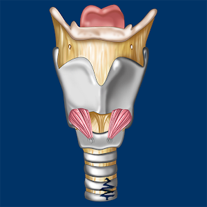 Larynx ID logo