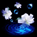 3D lovely Orchid logo