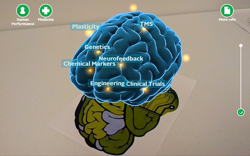 Wright State Brain Scan