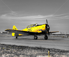 Yellow Bird by Rob Baker - Transportation Airplanes