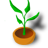 Botanica icon