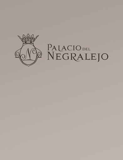 【免費生活App】Palacio del Negralejo-APP點子