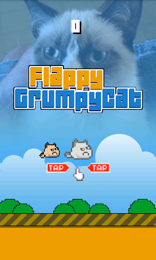 Flappy Grumpy Cat