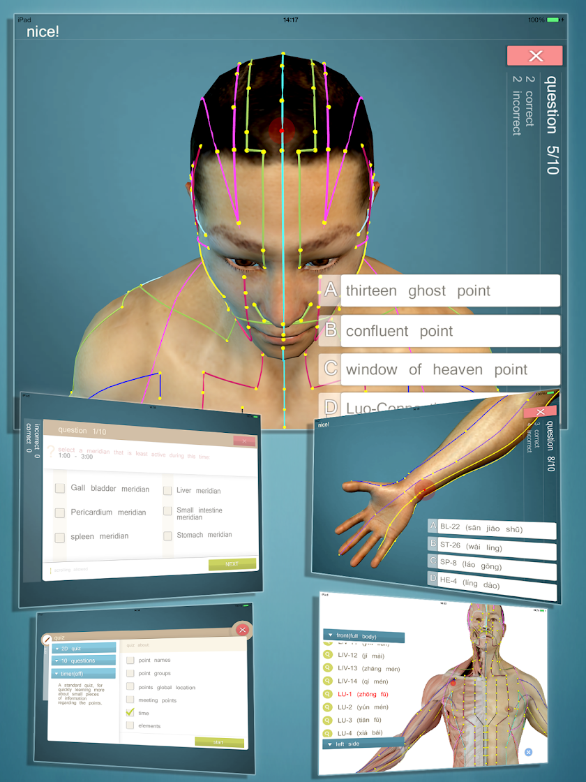 Total Acupuncture 3D Screen 2