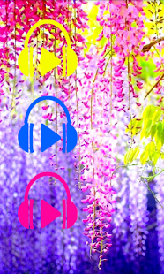 Download Music Meditation APK for PC