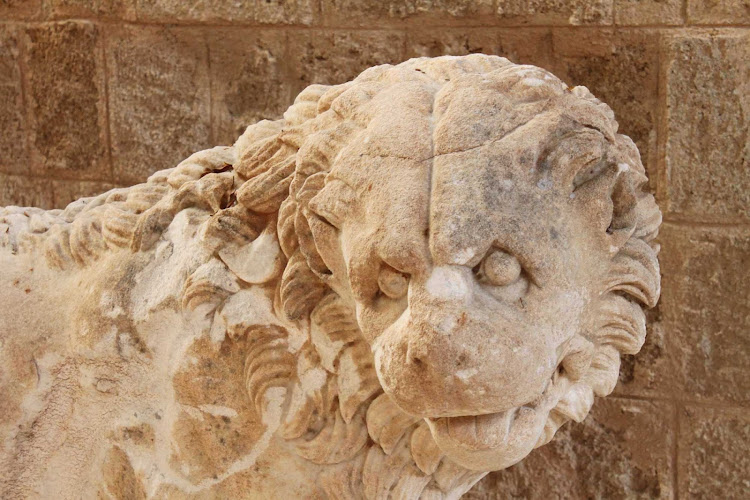 A lion at the Archeological Museum in Rhodes, Greece.