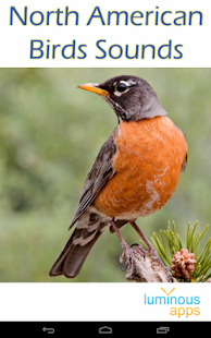 North American Birds Sounds Screenshots 8