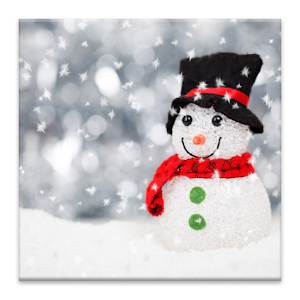 Falling Snow 1.1