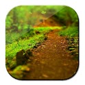 Galaxy S4 Forest Walk LWP logo