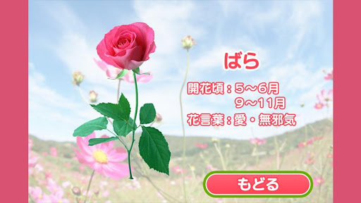 親子で遊ぼう！お花わかるかな？