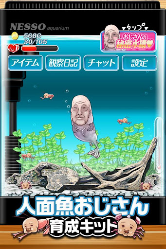 育成ゲーム 人面魚おじさん育成キット