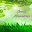 Good Morning Images Download on Windows