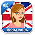 Apprendre lAnglais8.51