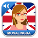 Aprender Inglés con MosaLingua