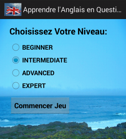 L'Anglais en Questions