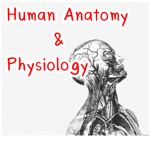 Human Anatomy Physiology