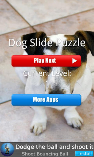 Dog Slide Puzzle