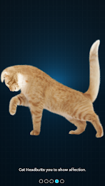 Cat Language Translator by Dexati poster 2