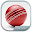 Cricket Screen Lock Download on Windows