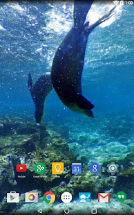 download Panorama Wallpaper: Diving free