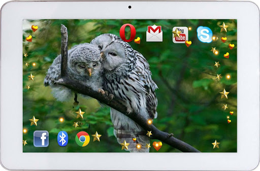 【免費個人化App】Owls Love HD live wallpaper-APP點子