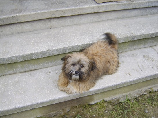 Miky