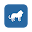 Chelsea News 2 Download on Windows