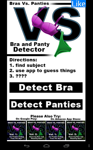 BvsP: Bra and Panty Detector