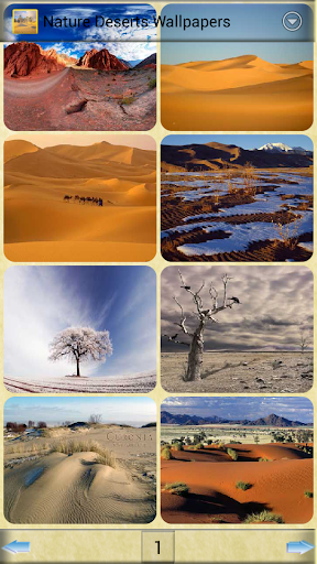 自然沙漠壁紙