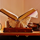 The Holy Bible by Anoop Namboothiri -  