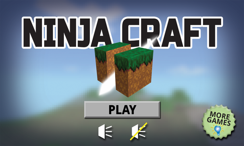 Ninja Craft Screen 1