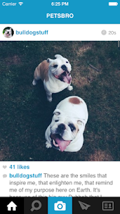 How to install Petsbro patch 1.8.3 apk for pc