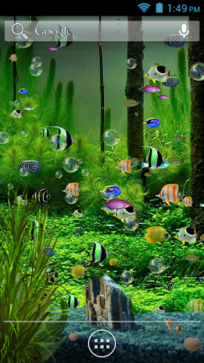 免費下載娛樂APP|Aquarium Live Wallpaper app開箱文|APP開箱王