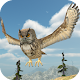 Owl Bird Simulator APK