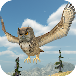 Owl Bird Simulator Apk