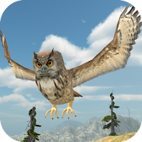 Owl Bird Simulator APK התמונה על עטיפת הסרט