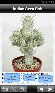 免費下載書籍APP|Cactus Plant Encyclopedia app開箱文|APP開箱王