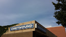 Greyhound Station
